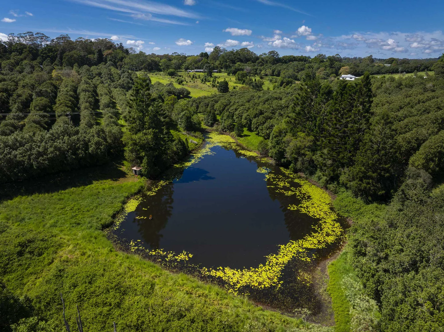 Additional image 7 of McLeans Ridges NSW 2480