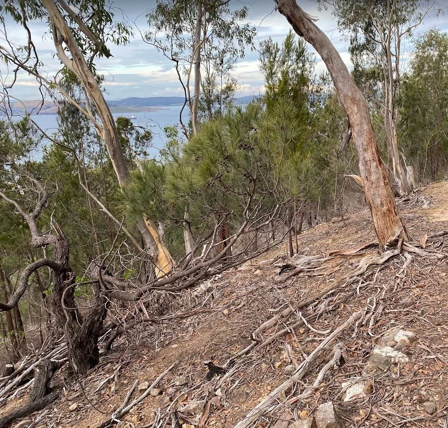 Additional image 11 of 85A Channel Highway, Taroona TAS 7053