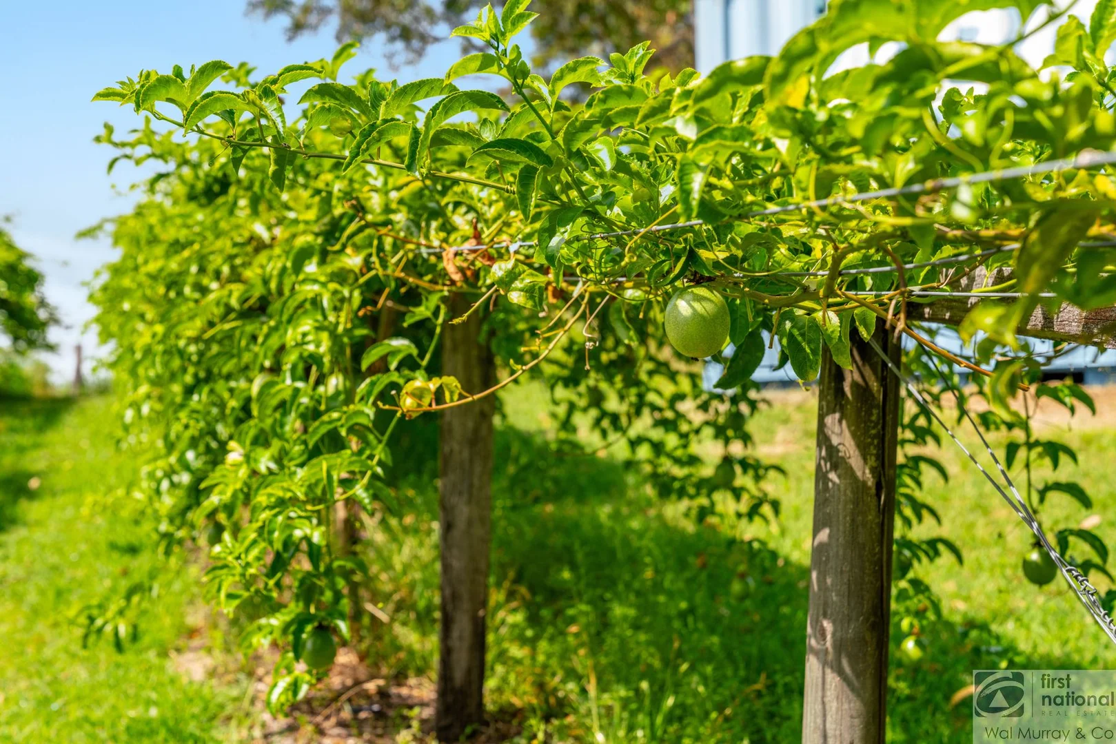 Additional image 16 of 658 Caniaba Road, Caniaba NSW 2480