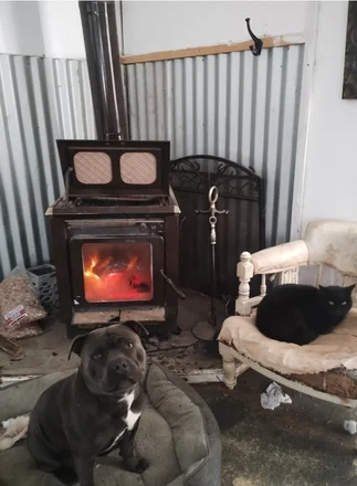 Additional image 8 of 11 Nandi Hills Place, Coonabarabran NSW 2357