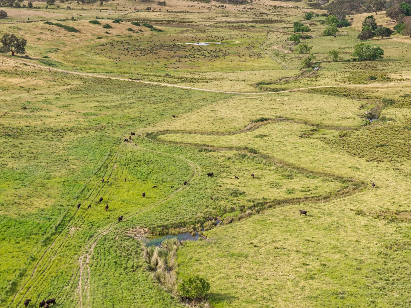Additional image 25 of Lot 38 Gentle Destiny Road, Boorowa NSW 2586