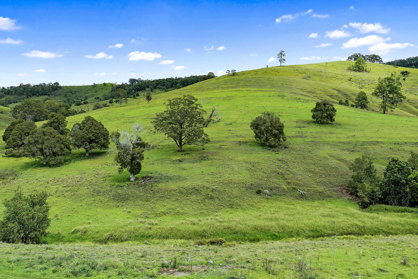 Additional image 14 of Lot 2 2135 The Bucketts Way, Wards River NSW 2422