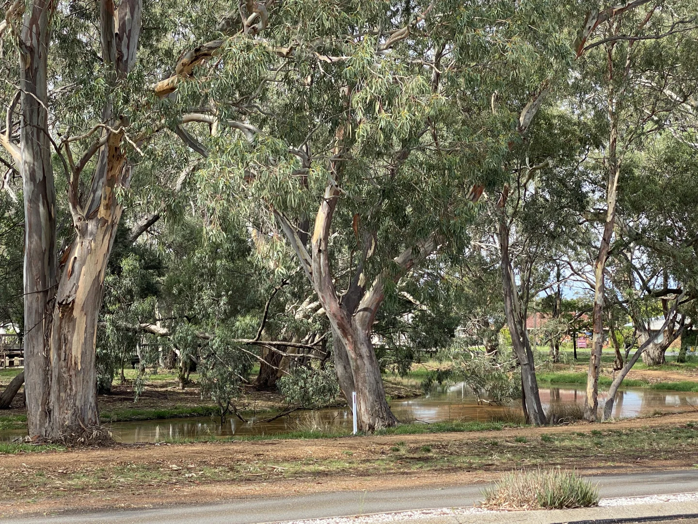 Additional image 12 of 16 Craig Avenue, Warracknabeal VIC 3393