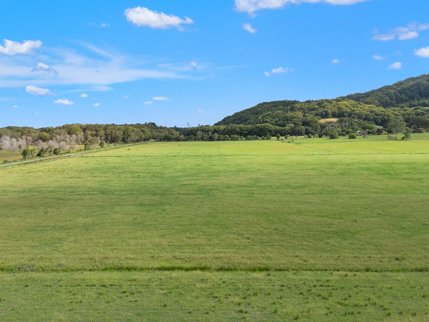 Additional image 23 of 16 Sartories Road, Pimlico NSW 2478