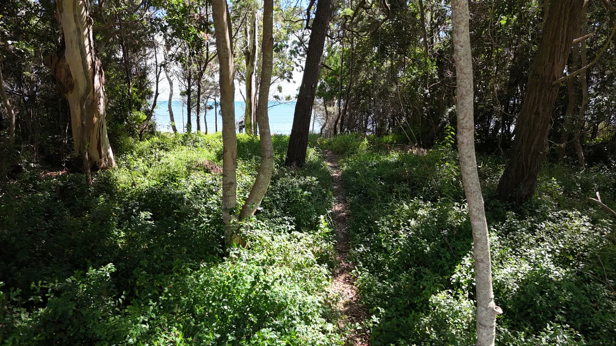 Additional image 6 of 1-3 Esplanade, Toogoom QLD 4655