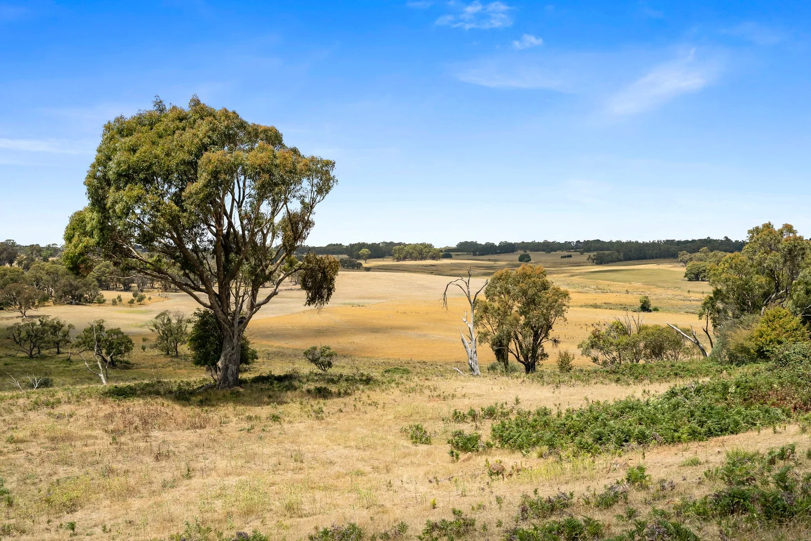 Additional image 4 of 171 Boongarra Road, Laggan via, Crookwell NSW 2583