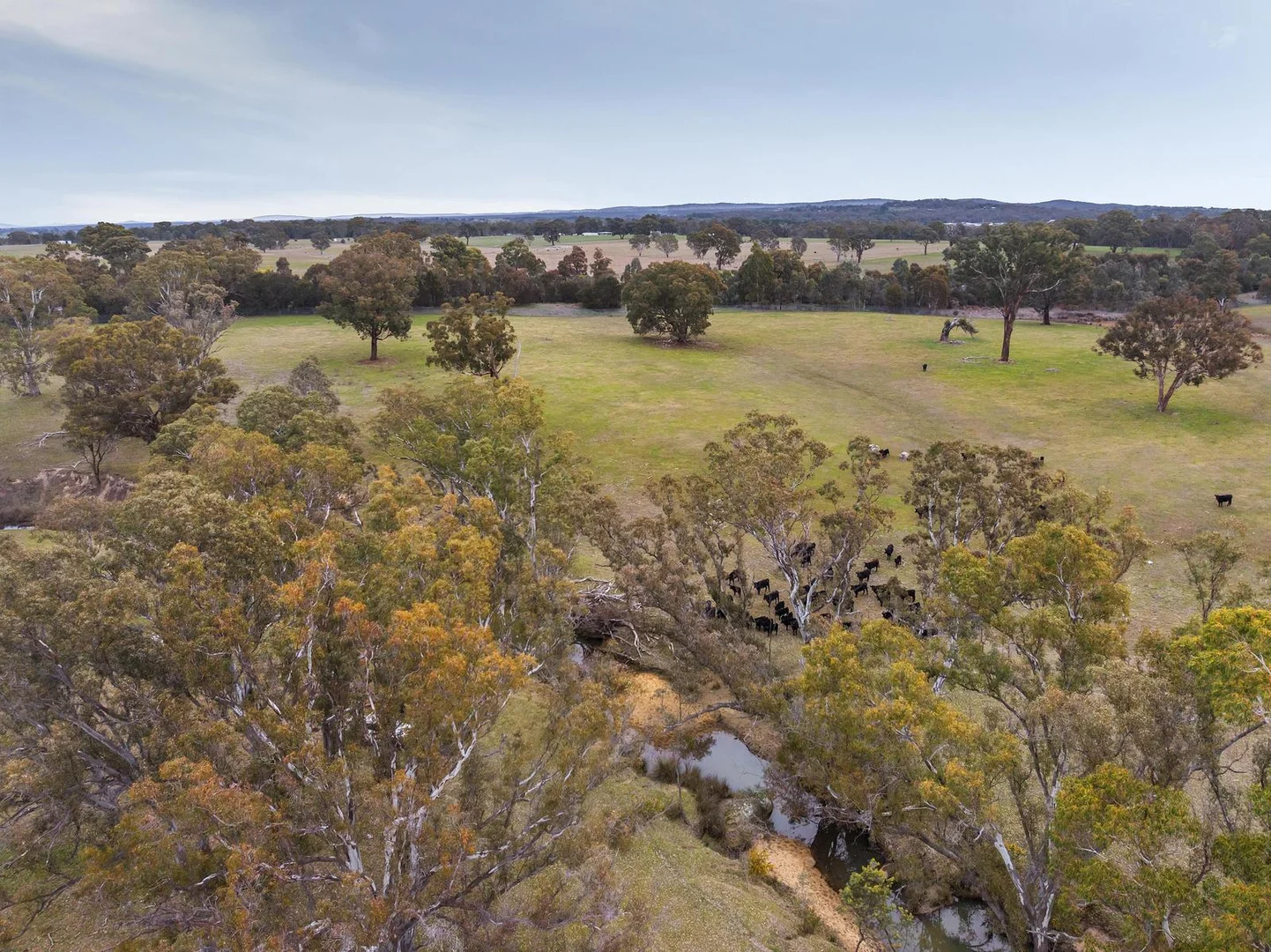 Additional image 8 of 67 Owens Road, Elphinstone VIC 3448