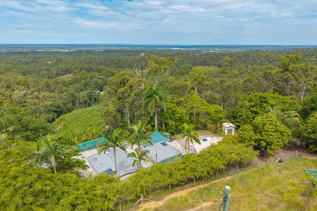 Additional image 25 of 349 Jackson Road, Wamuran QLD 4512