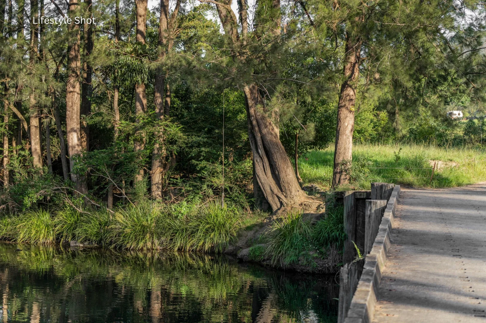 Additional image 23 of 425A Upper Orara Road, Upper Orara NSW 2450