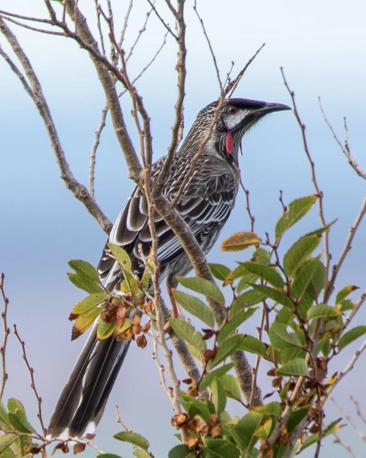 Additional image 66 of 412D Bratten Way, Tumby Bay SA 5605