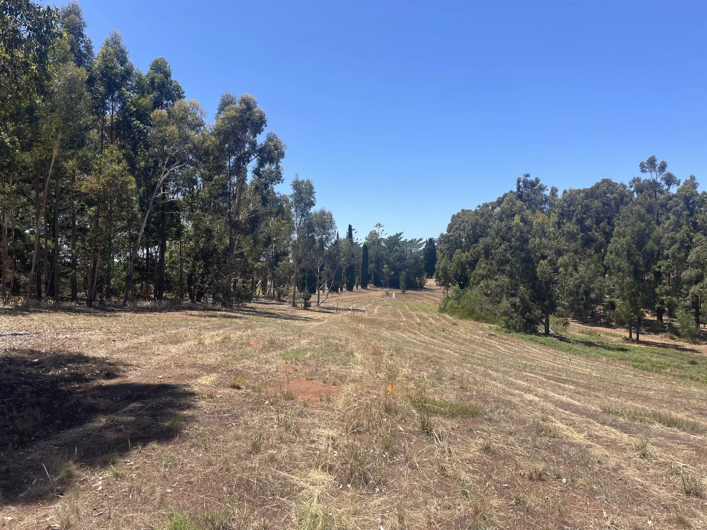 Additional image 4 of Proposed Lots 1-11 Cnr Thornbill Road & Nelson Road, Bridgetown WA 6255