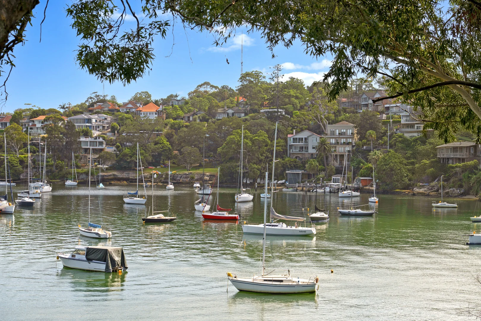 Additional image 17 of 8 Robertson Street, Greenwich NSW 2065