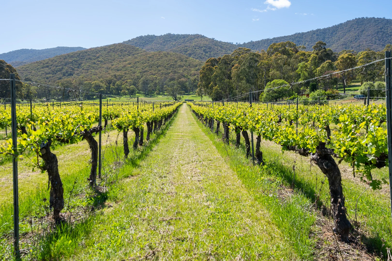 Additional image 17 of 285 Bay Creek Lane, Mongans Bridge VIC 3691