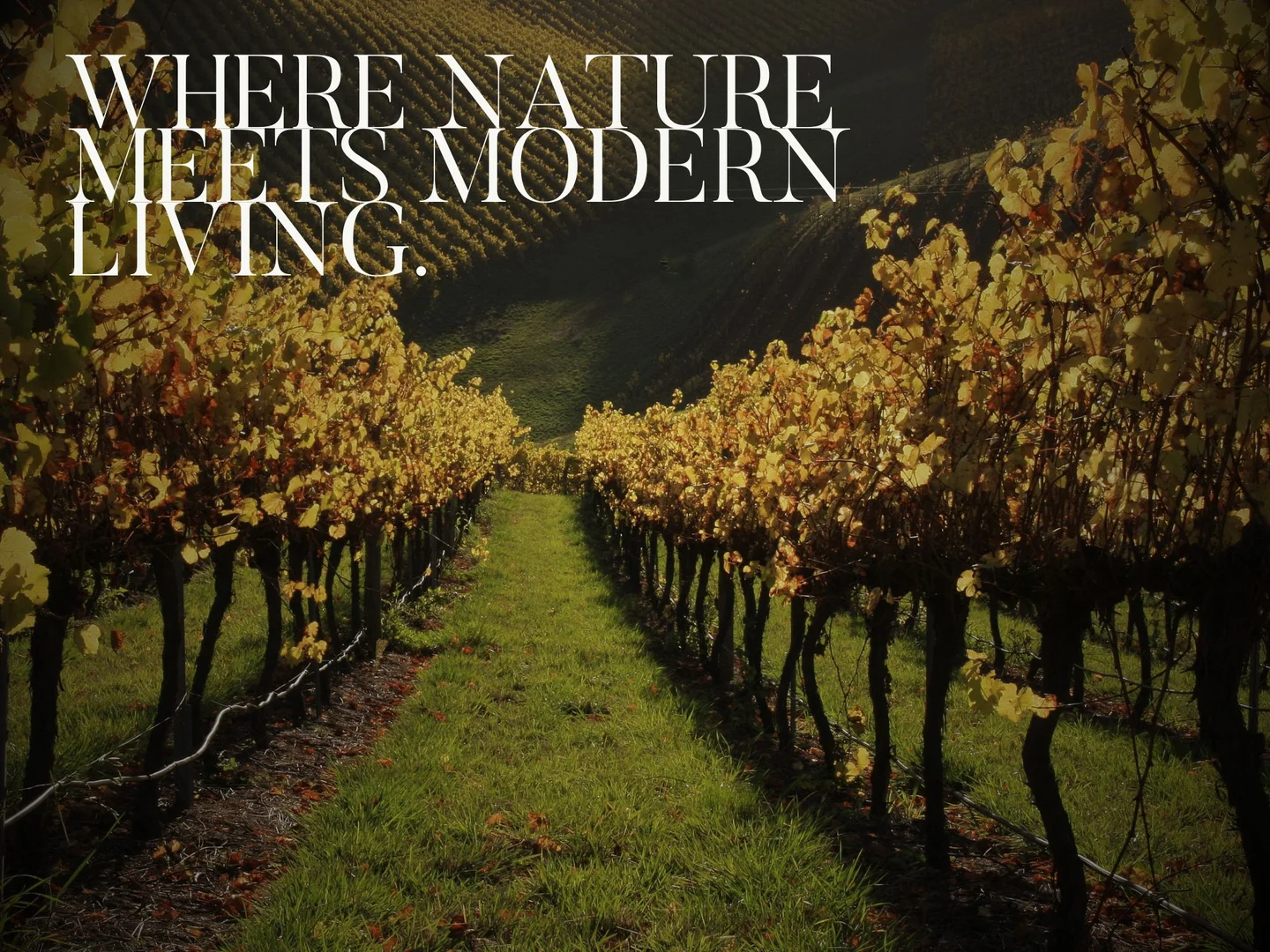 Additional image 6 of Lot 92 Glenpark Drive, Mount Barker SA 5251