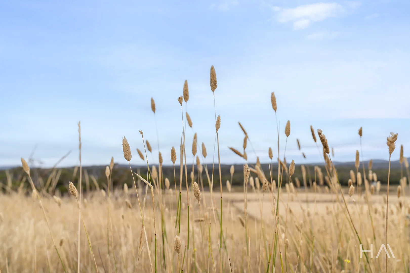 Additional image 15 of Lot 50 Springs Road, Swansea TAS 7190