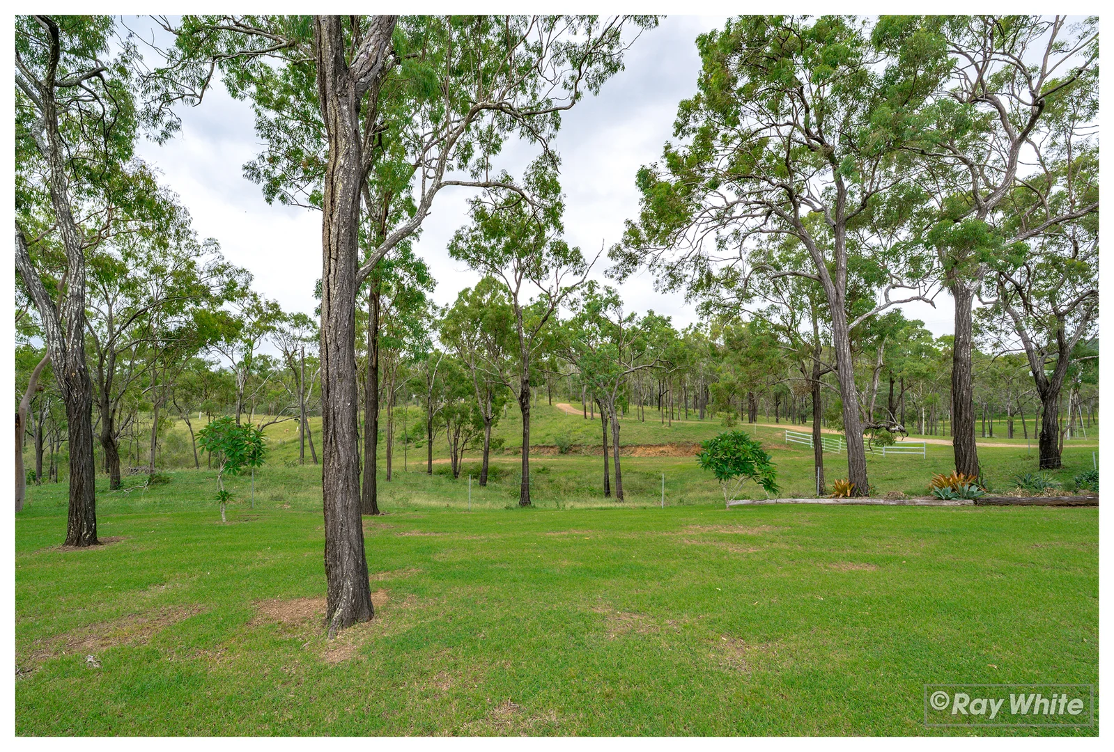 Additional image 25 of 260 Fourteen Mile Road, The Caves QLD 4702