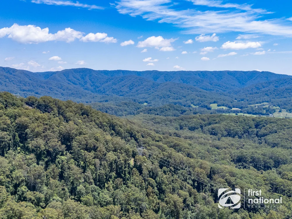 Additional image 22 of Lot 65 North Island Loop Road, Upper Orara NSW 2450