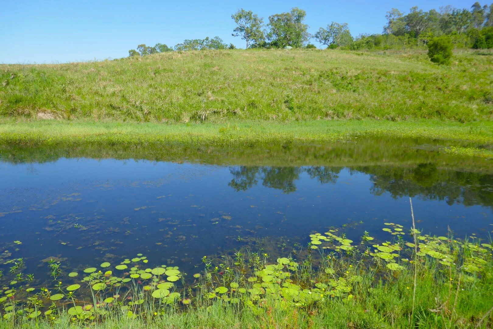 Additional image 31 of 258 Iron Pot Creek Rd, Ettrick NSW 2474