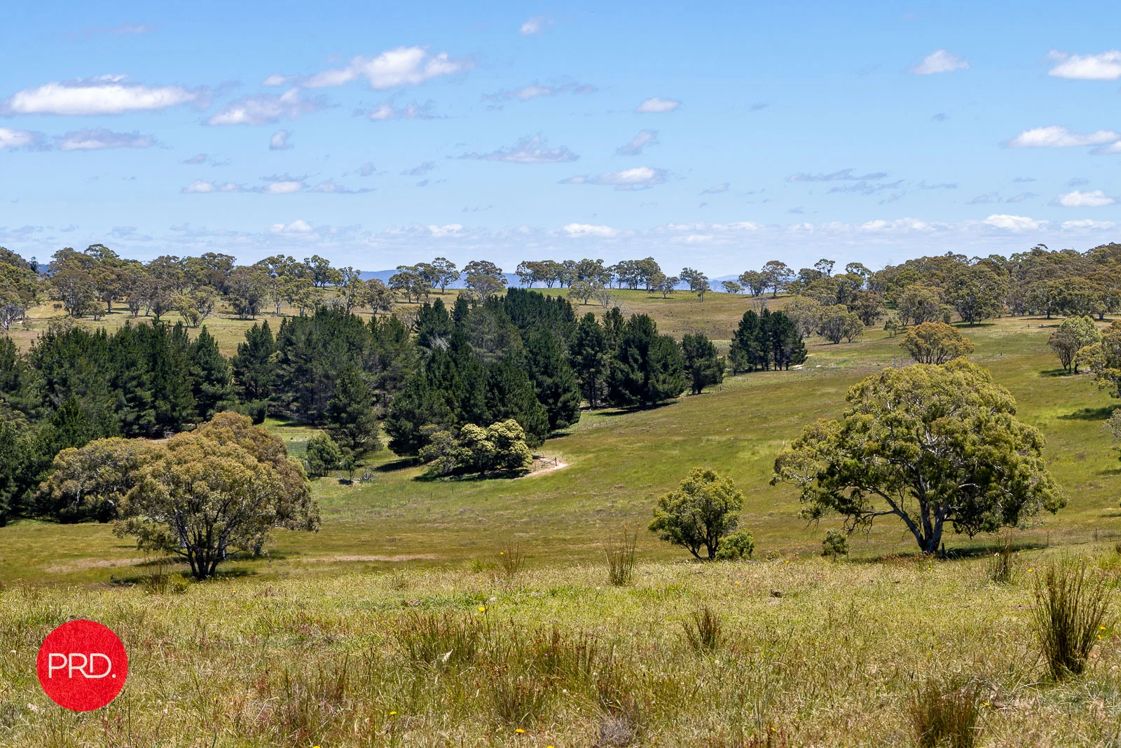 Additional image 18 of 2287 Bungendore Road, Tarago NSW 2580