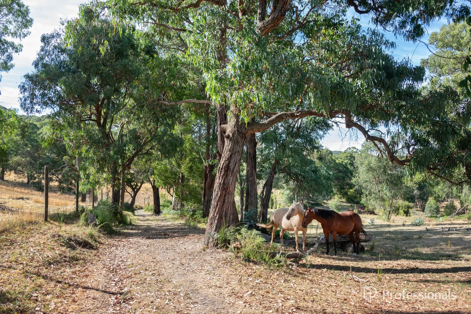 Additional image 27 of 150 Blackleather Creek Road, Launching Place VIC 3139