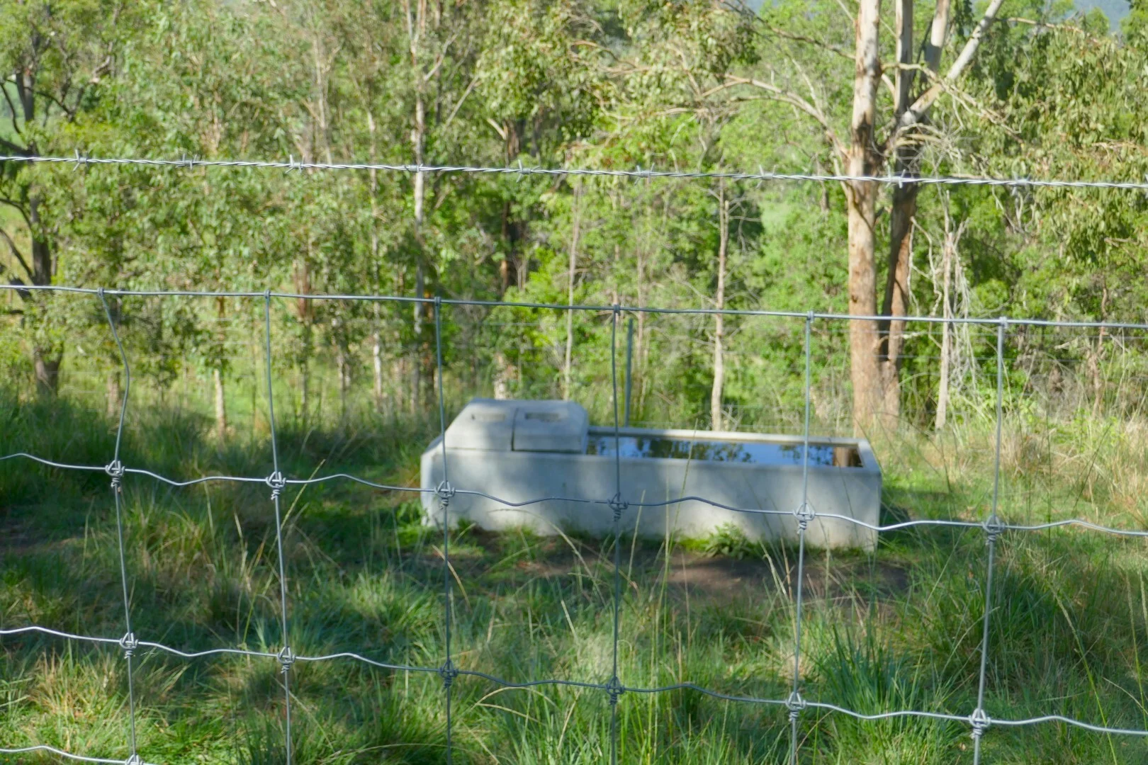 Additional image 30 of 258 Iron Pot Creek Rd, Ettrick NSW 2474