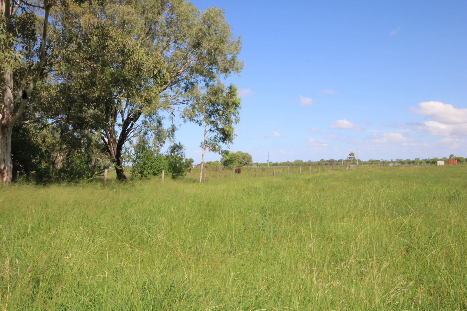 Additional image 31 of 366 GEORGE STREET, Depot Hill QLD 4700
