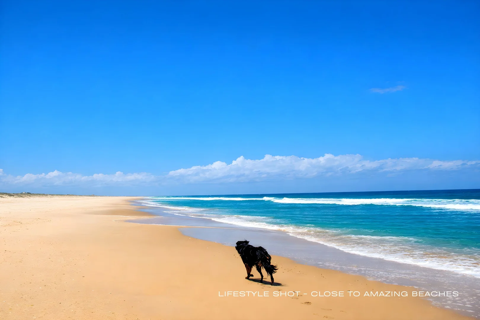 Additional image 36 of 251 Cooks Lane, Dalwood NSW 2477