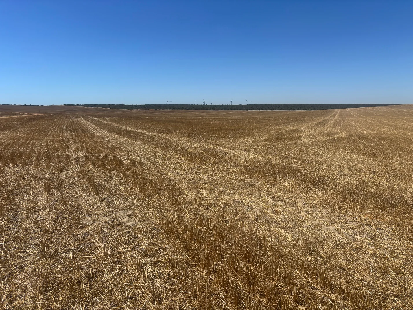 Additional image 19 of 6062 Coorow-Greenhead Road, Warradarge WA 6518