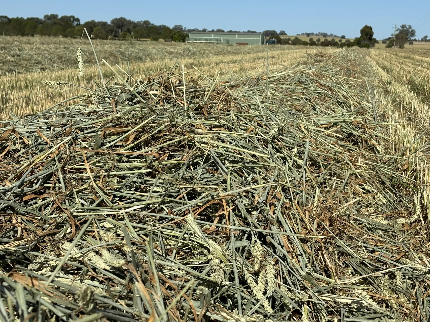 Additional image 22 of North Logan Road, Cowra NSW 2794