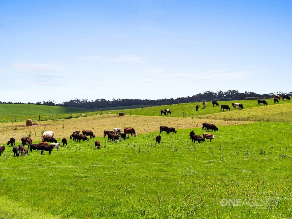 Additional image 28 of 108 Mclachlans Road, Irishtown TAS 7330