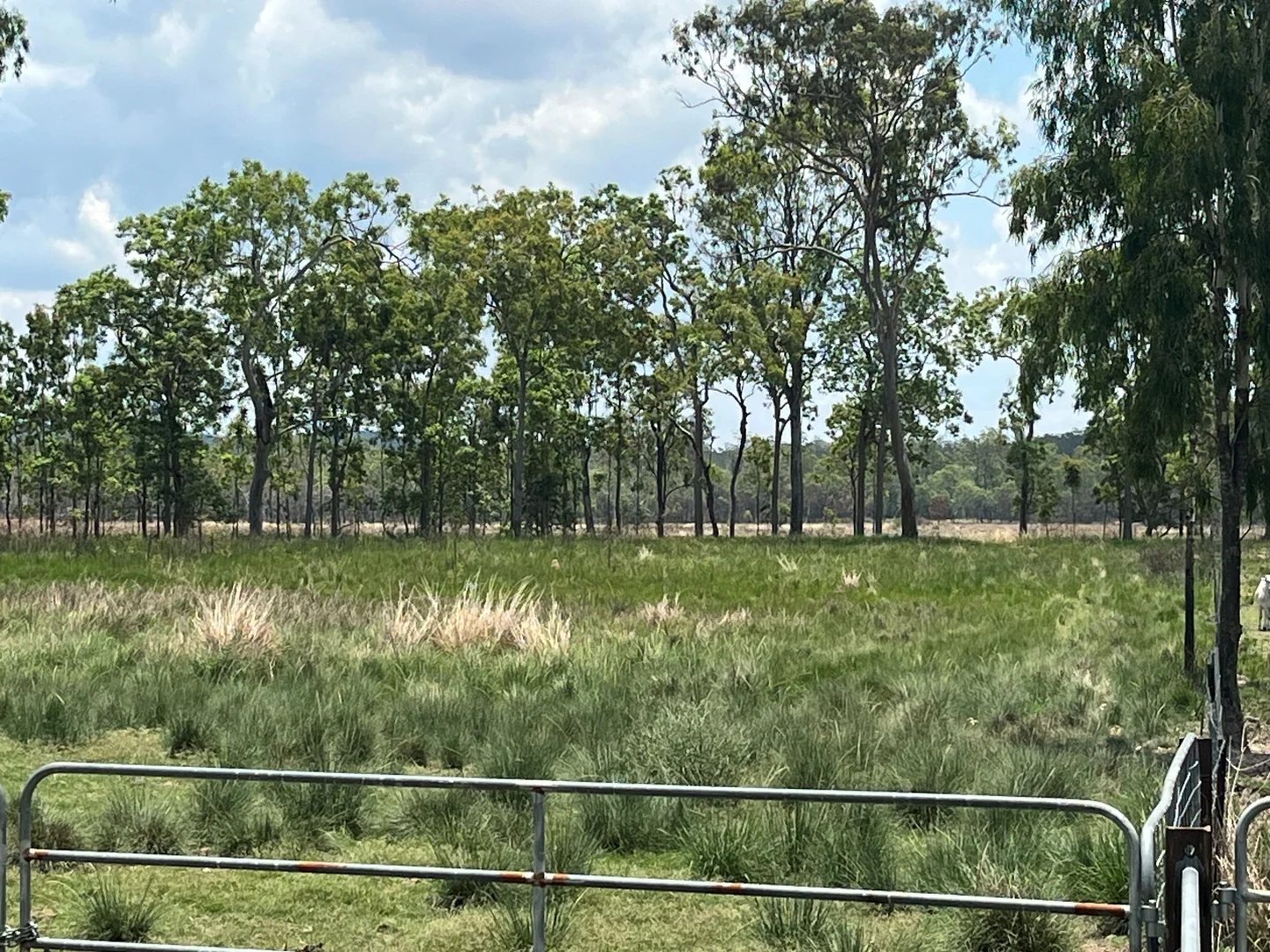 Additional image 57 of Blunder Park Station 382 Blunder Park Road, Ravenshoe QLD 4888