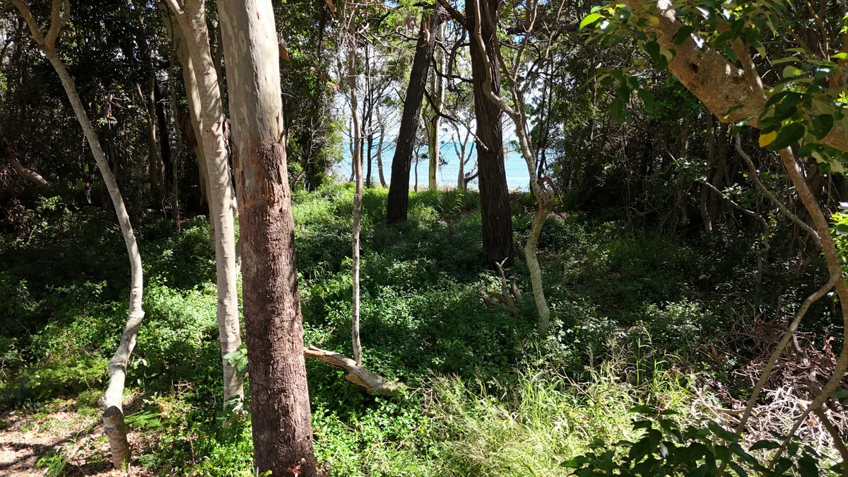 Additional image 7 of 1-3 Esplanade, Toogoom QLD 4655