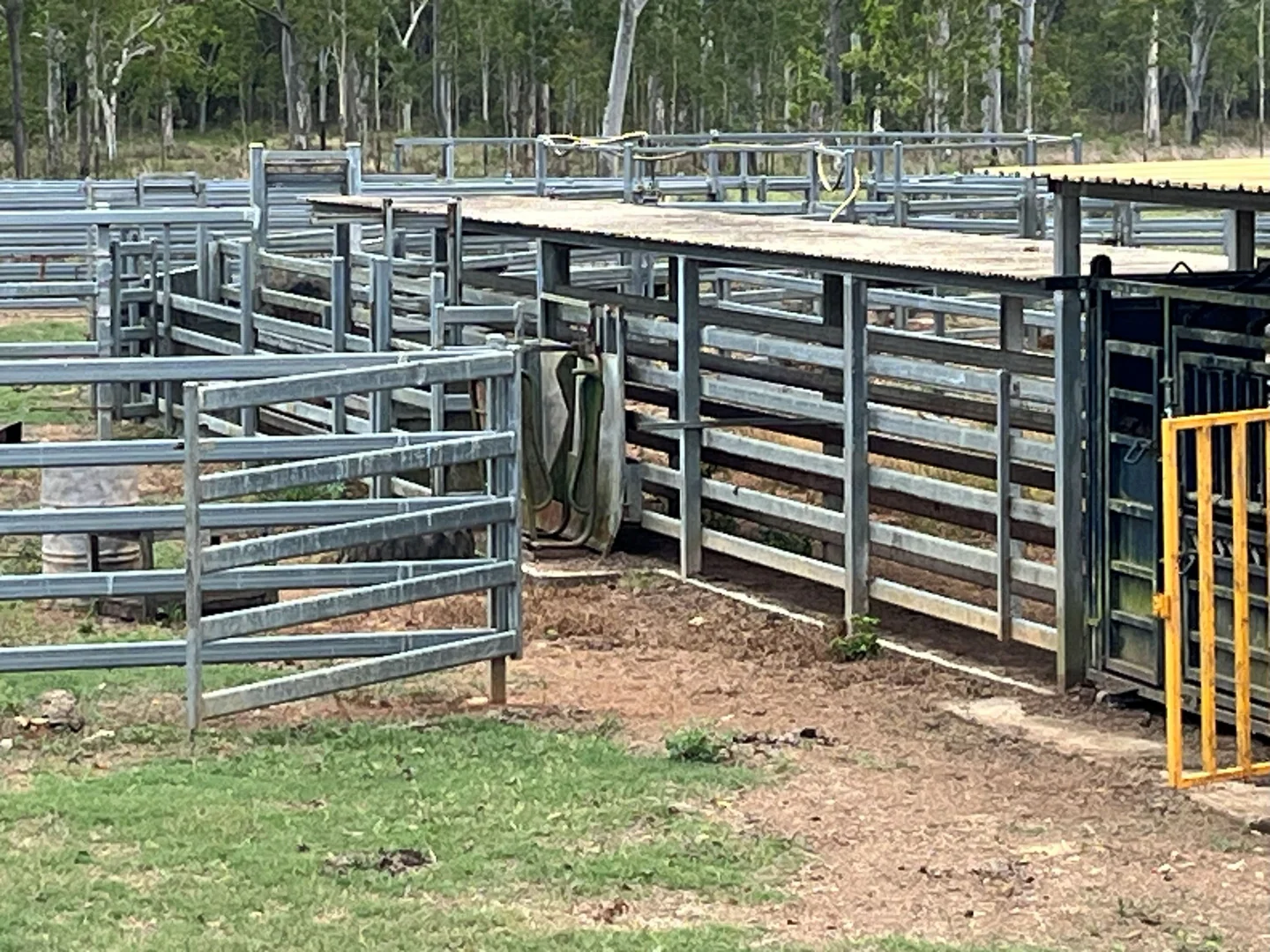 Additional image 48 of Blunder Park Station 382 Blunder Park Road, Ravenshoe QLD 4888