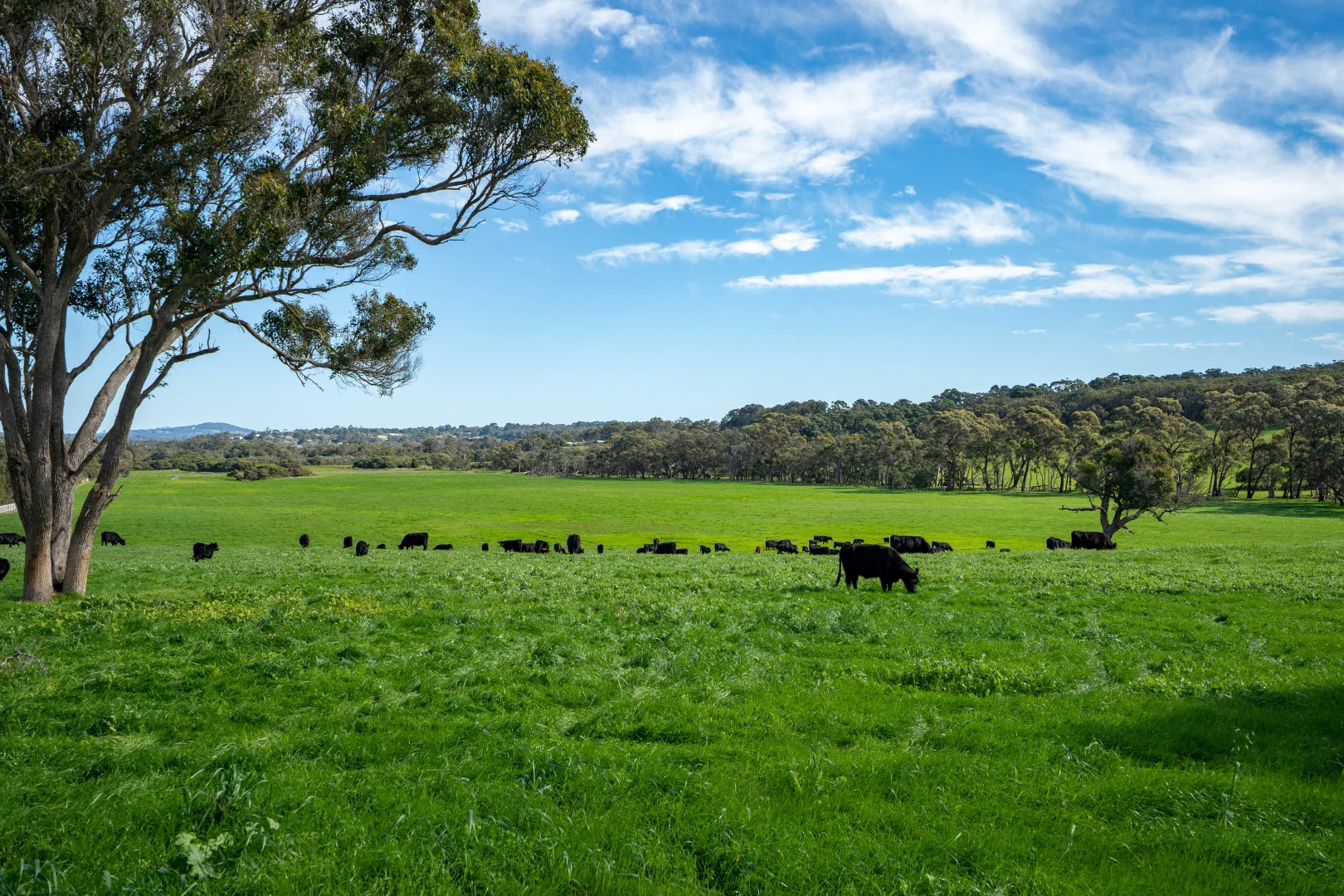 Additional image 16 of 461 Nanarup Road, Kalgan WA 6330