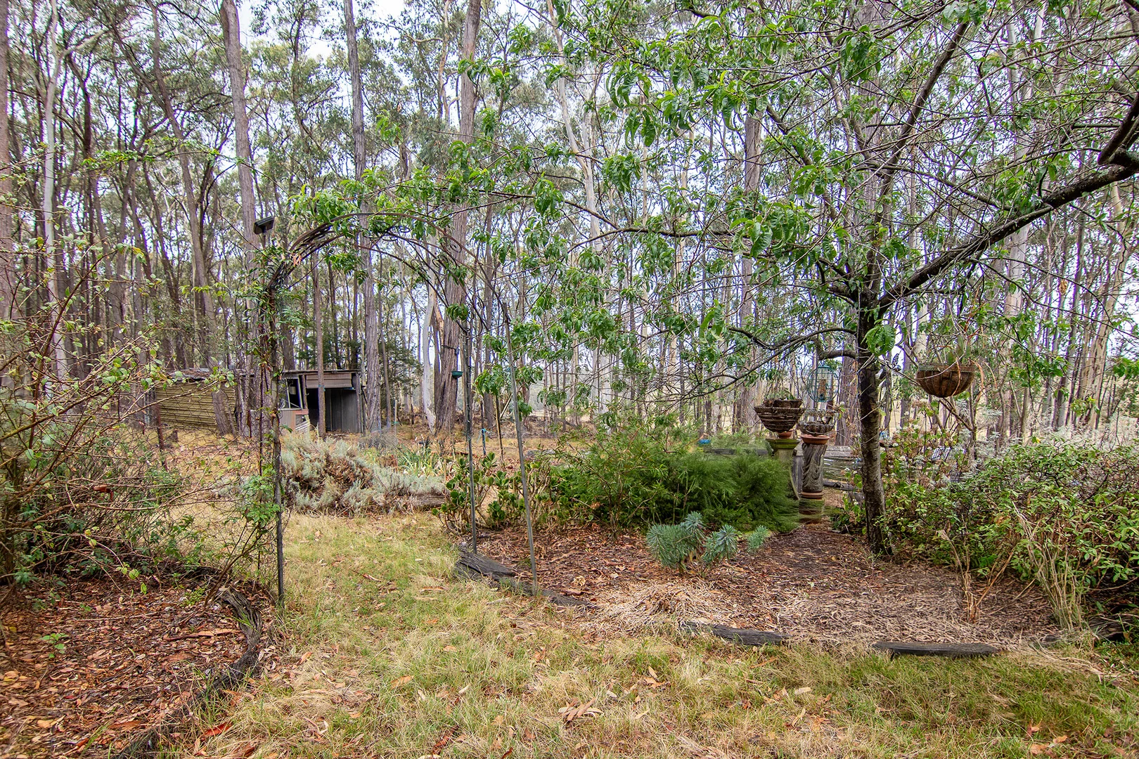 Additional image 12 of 855 Bonds Road, Mudgee NSW 2850