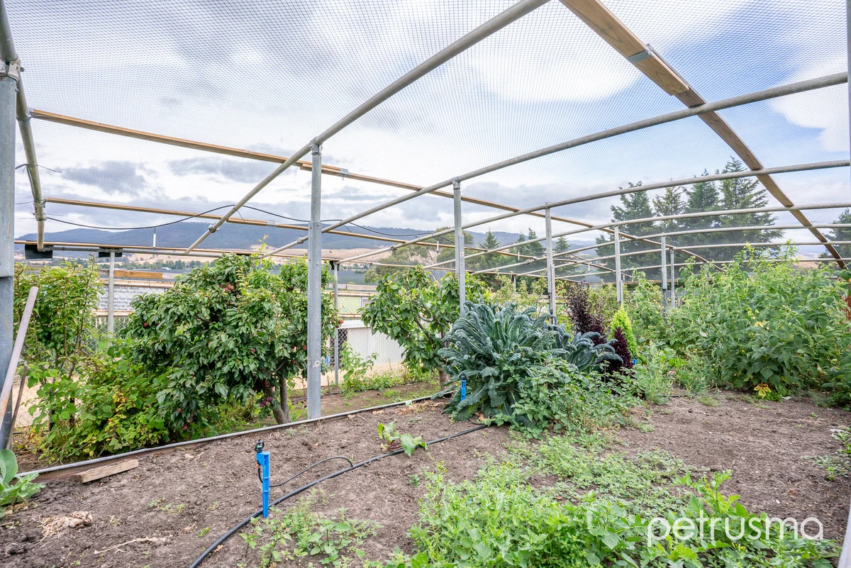 Additional image 32 of 2484 Lyell Highway, Hayes TAS 7140