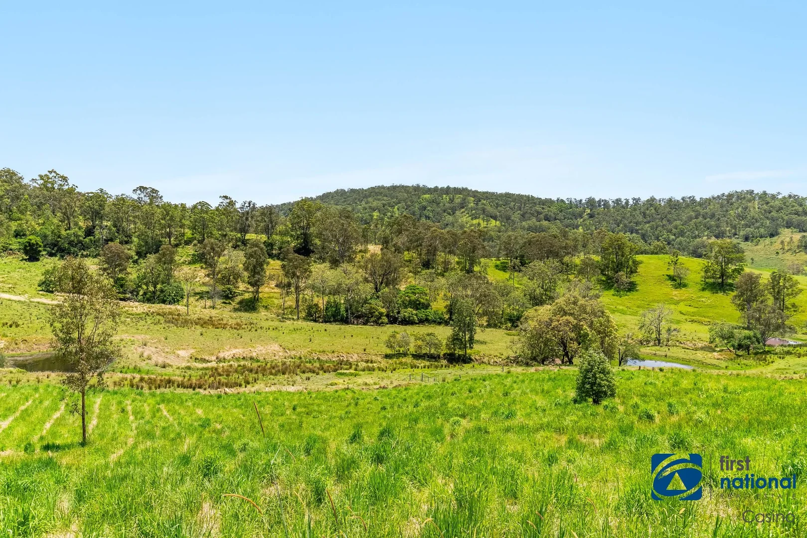 Additional image 5 of 463 Dunns Road, Doubtful Creek NSW 2470