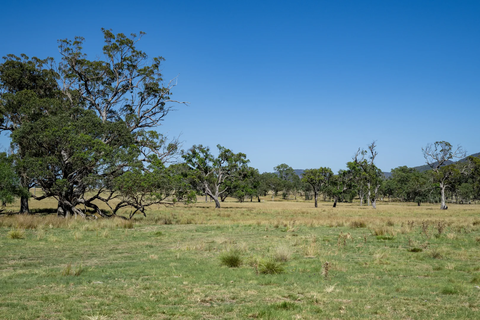 Additional image 3 of 32 Woodside Road, Tenterfield NSW 2372
