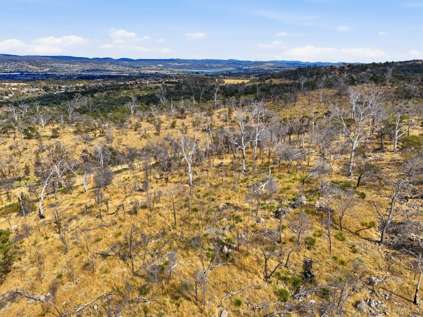 Additional image 29 of 75 Prossers Forest Road, Ravenswood TAS 7250