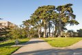 Additional image 75 of 919 Fell St, San Francisco, CA, 94117