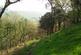 Additional image 8 of Elle Bank Wood, Hayfield, Derbyshire SK22