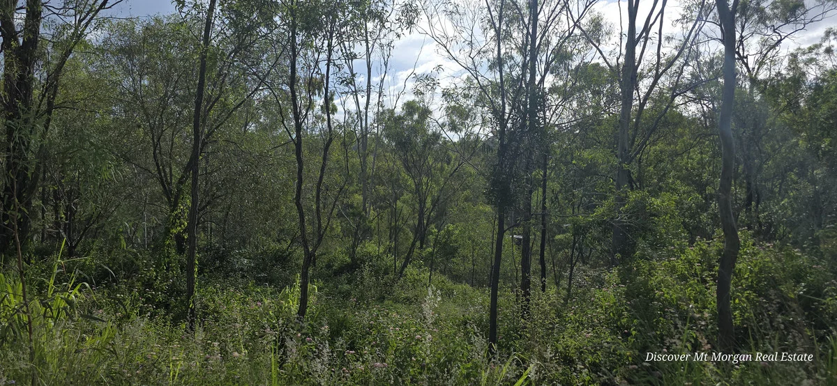 Additional image 20 of Lot 9 Struck oil Road, Struck Oil QLD 4714