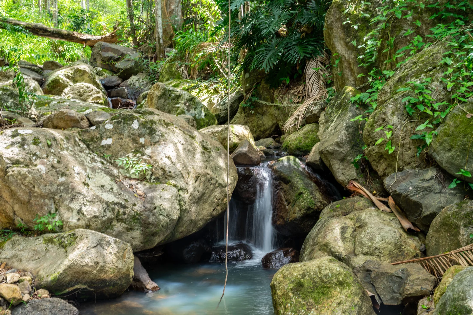 Additional image 38 of 771 Left Bank Road, Mullumbimby Creek NSW 2482