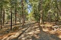 Additional image 61 of 28245 Big Dipper Rd, Colfax, CA, 95713