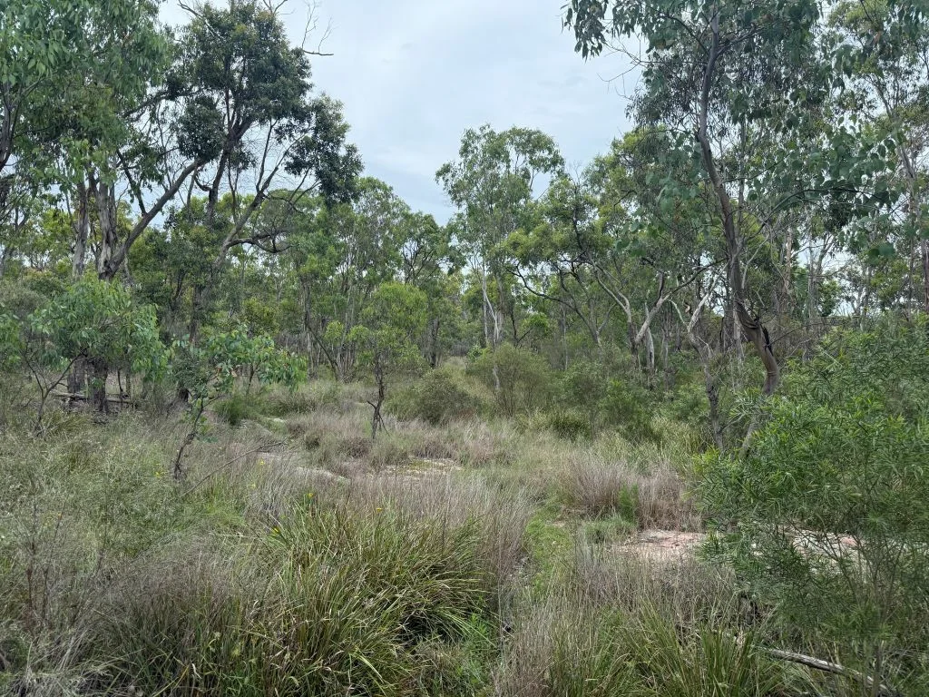 Additional image 19 of Lot/89 Fletcher Road, Ballandean QLD 4382