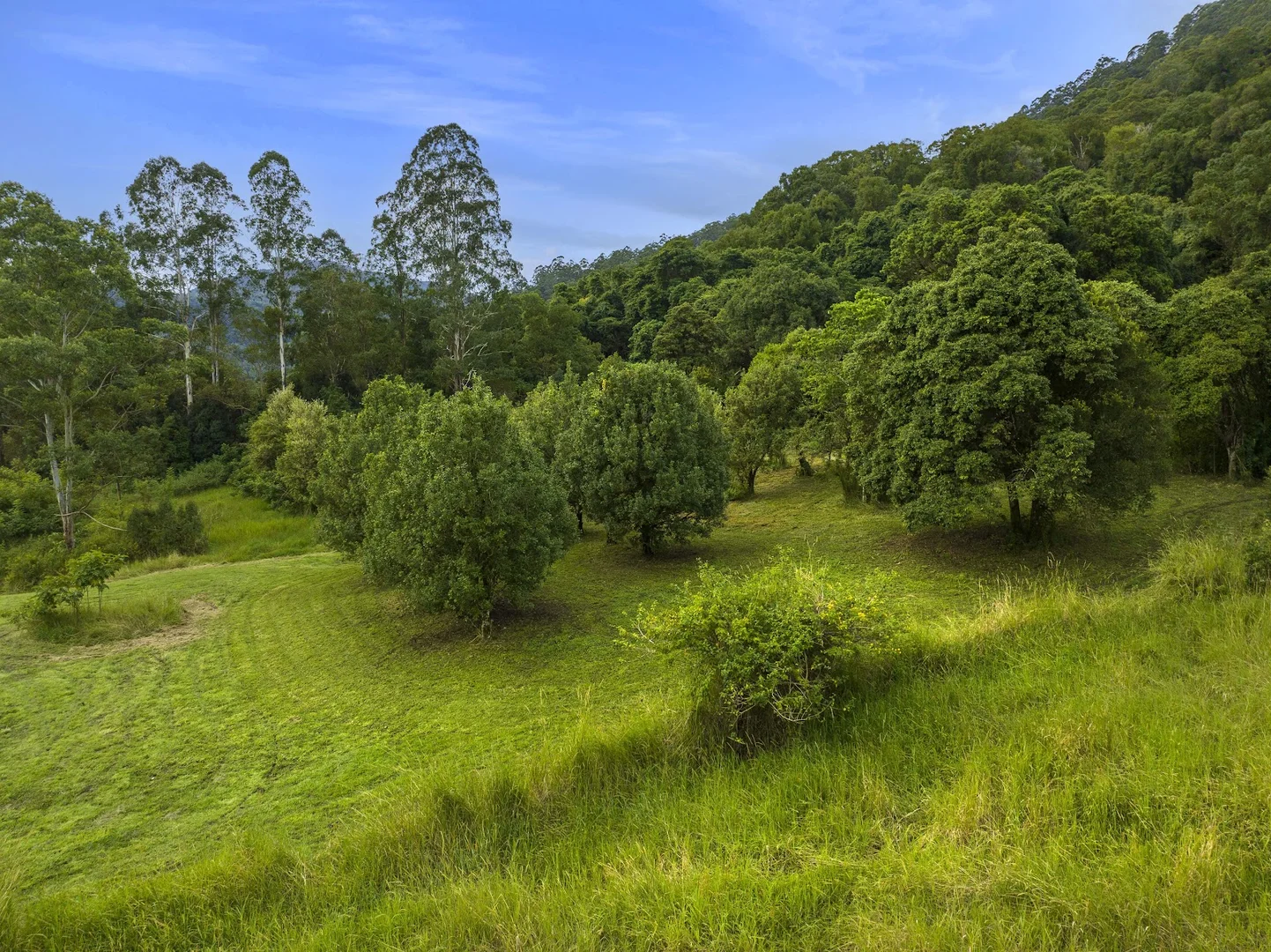 Additional image 31 of 14 Weismantel Road, Nimbin NSW 2480