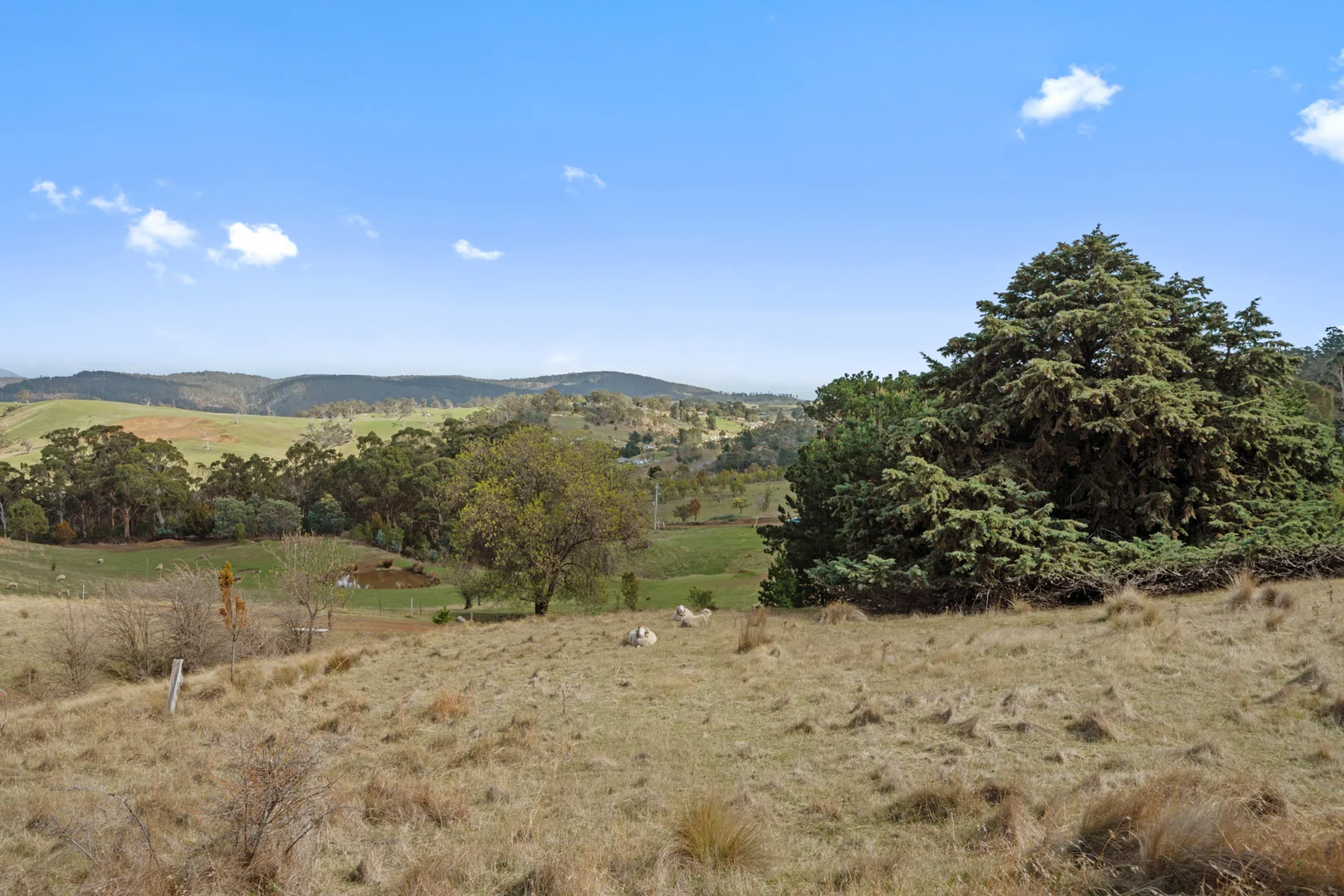 Additional image 16 of 152 Pritchards Lane, Dysart TAS 7030