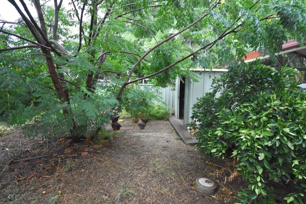 Additional image 14 of 19 Percy Street, Wellington NSW 2820