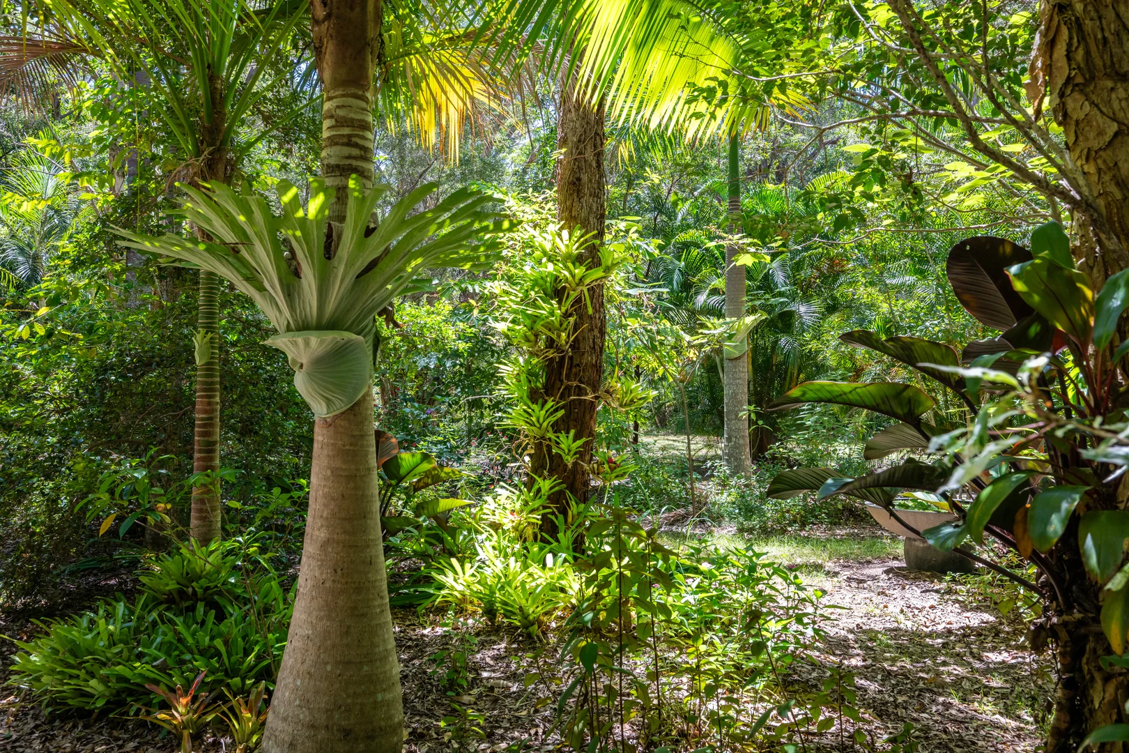 Additional image 7 of 2536 Solitary Islands Way, Arrawarra NSW 2456