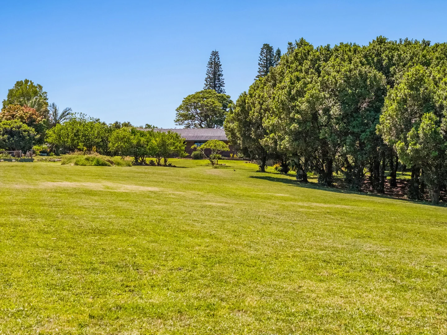 Additional image 32 of 215 Connor Road, Tregeagle NSW 2480